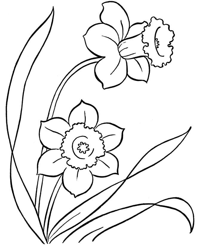 670x820 Spring Coloring Pages Spring Flowers Coloring Pages. Flying
