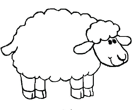 567x445 Lamb Coloring Page Baby Sheep Coloring Pages Spring Lamb Coloring