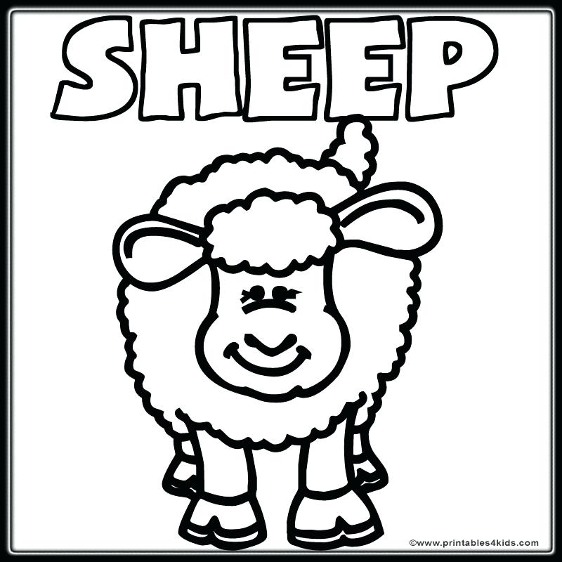800x800 Lamb Coloring Page Lamb Coloring Page Free Printable Easter Lamb