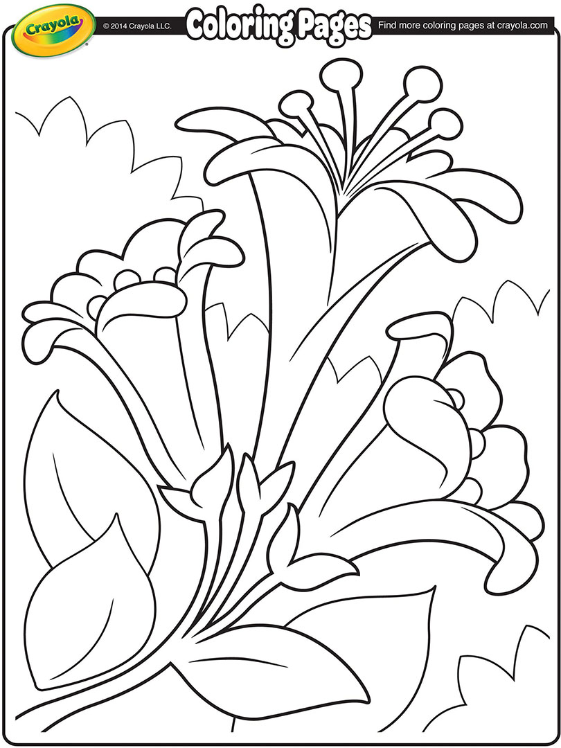 810x1080 Easter Lilies Ii Coloring Page