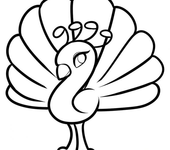 678x600 Easy Drawings For Kids About Animals Coloring Page Ideas