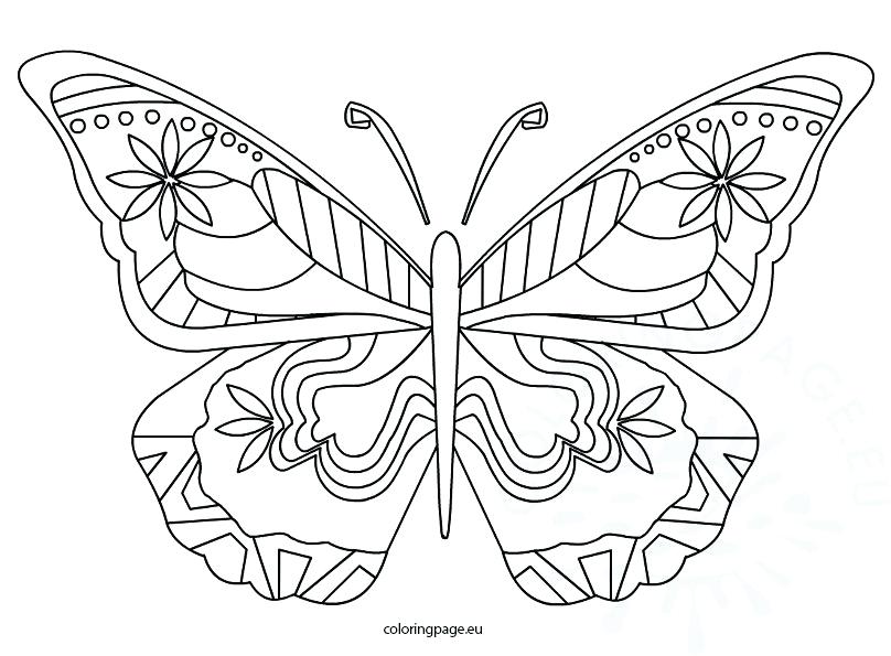 808x595 Butterfly Coloring Page E Swallowtail Butterfly Coloring Page