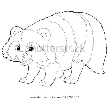 450x414 Baby Raccoon Coloring Pages Kids Coloring Raccoon Drawings Easy