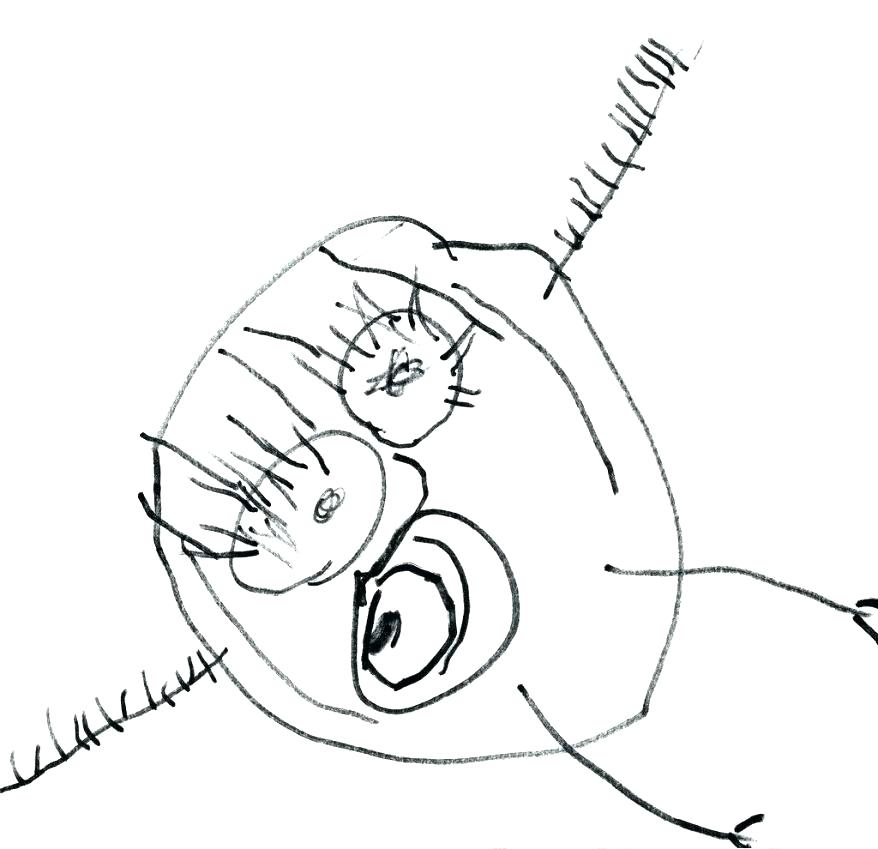 878x849 Coloring Sheets 2 Year Olds Awesome Coloring Pages For 8 Year