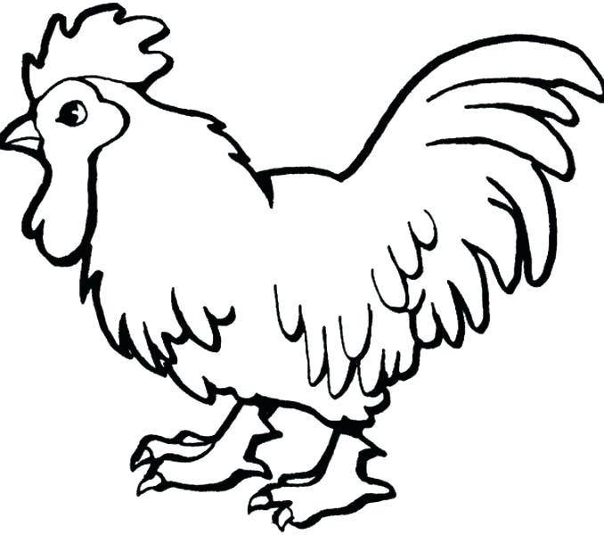 678x600 Animal Coloring Pages For Preschoolers Animal Coloring Pages Kids