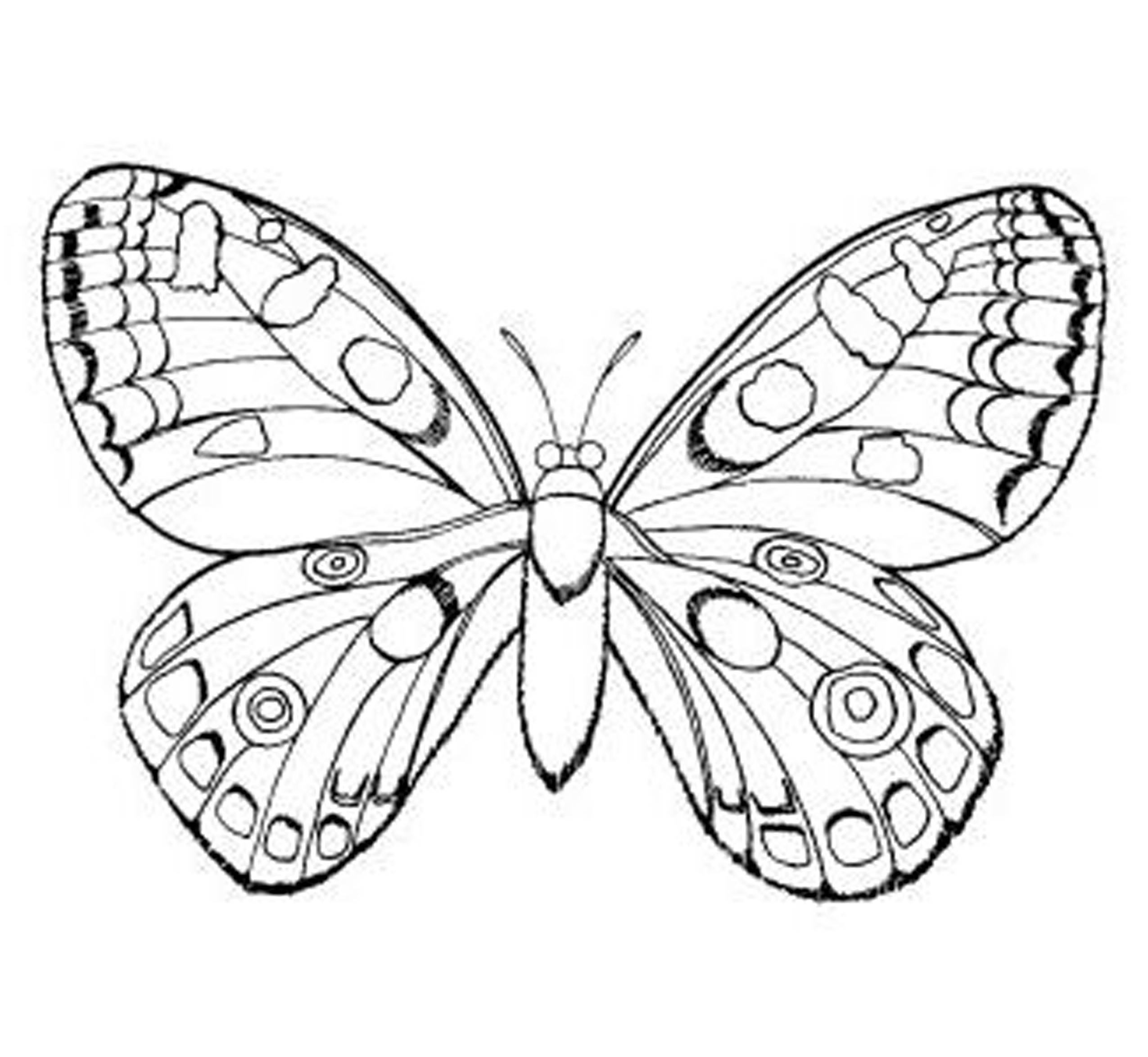 2550x2347 Easy Coloring Pages Girls Butterfly Coloring Pages