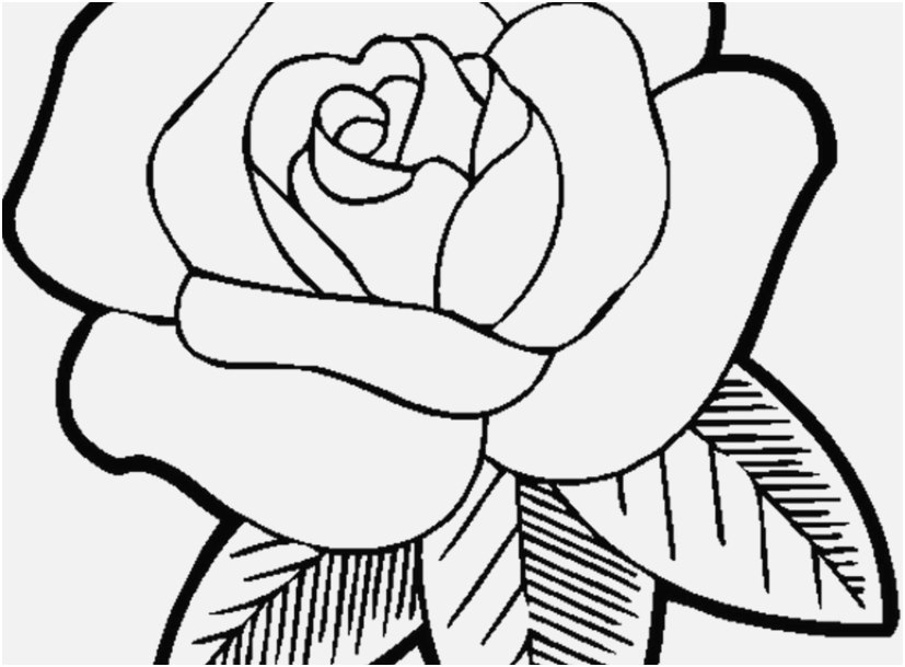 827x609 Free Printable Coloring Pages For Girls Design Easy Coloring Pages