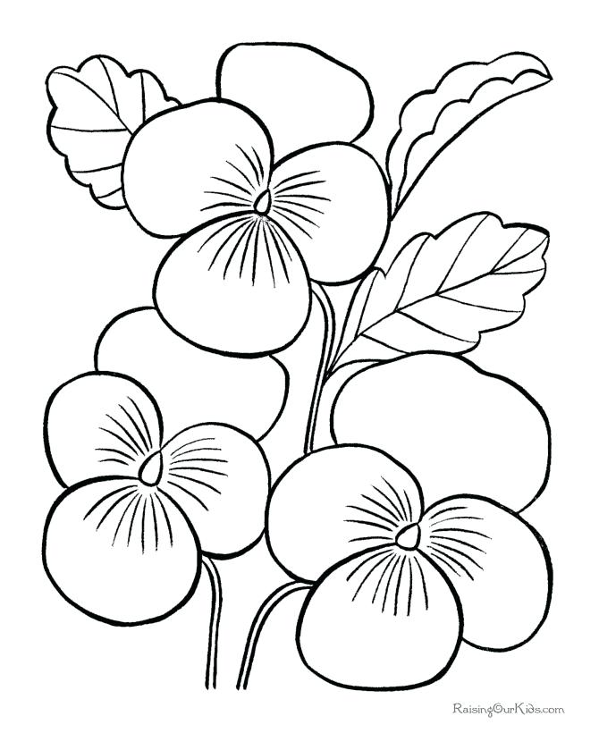 670x820 Flower Pictures To Color As Well As Inspiring Easy Printable