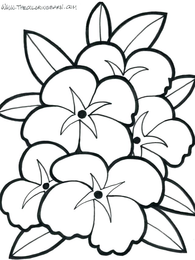 640x856 Coloring Pages Of Flowers Coloring Pages Flower Coloring Pages