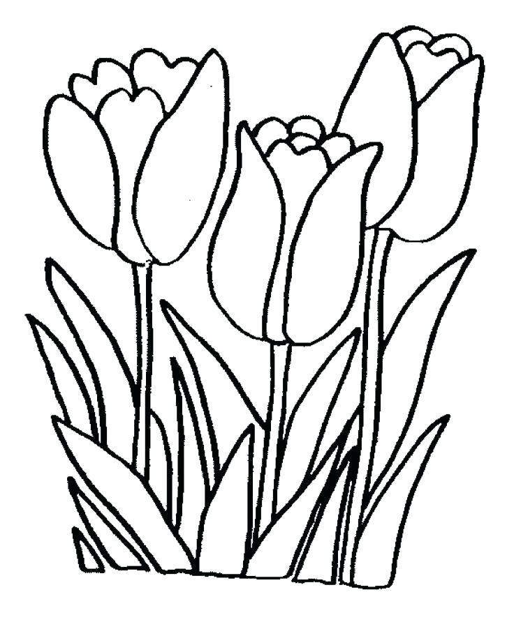 736x892 Easy Flower Coloring Pages Simple Flower Coloring Pages Simple