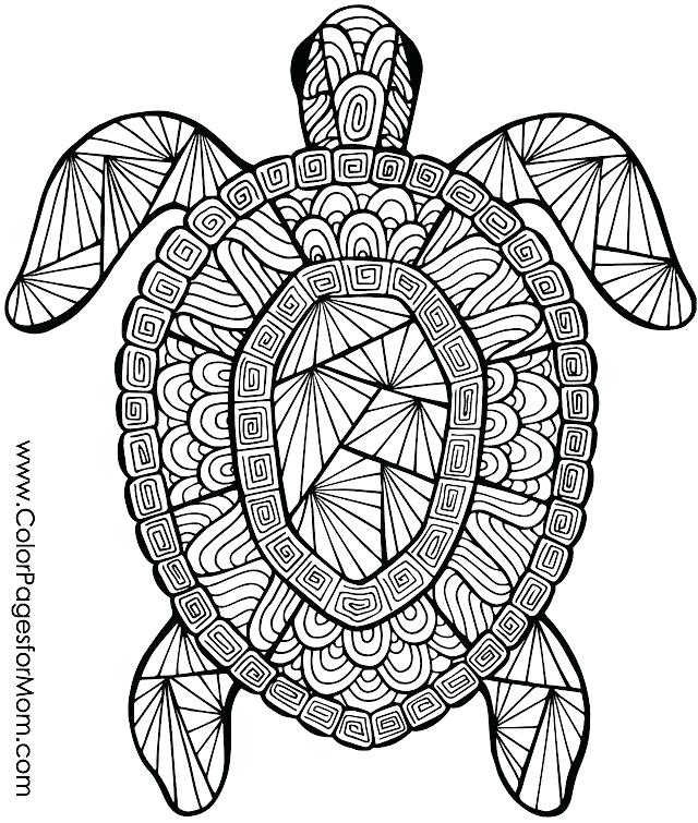 640x755 Coloring Pages Draw Easy Animals Animal Mandala Coloring Pages
