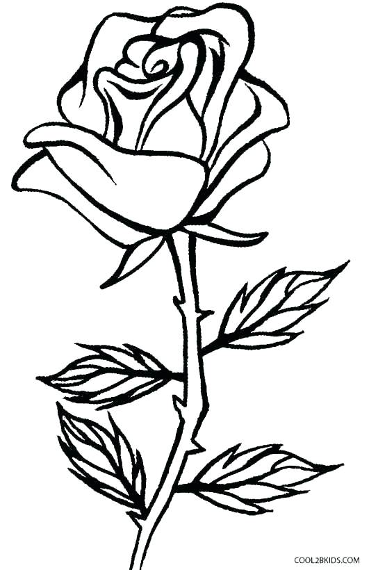 531x820 Coloring Pages To Draw Rose Coloring Sheets Rose Coloring Pages