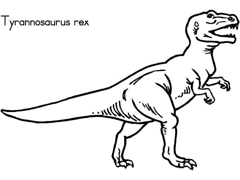 800x600 Trex Coloring Pages