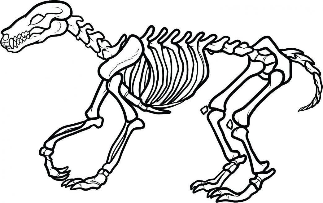 1043x655 Baby Dinosaur Hatching From An Egg Coloring Pages For Kids