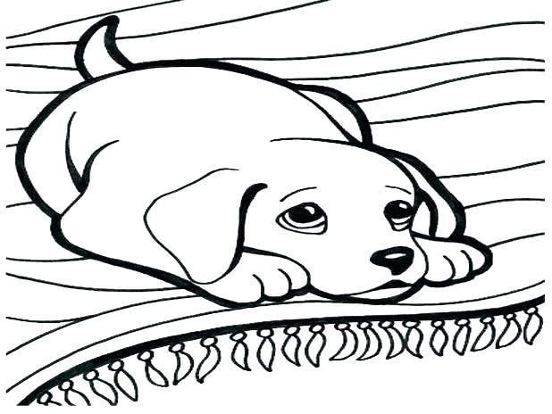 618x464 Dog Color Pages