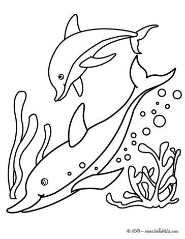 364x470 Dolphins Coloring Page. Nice Coloring Sheet Of Sea World. More