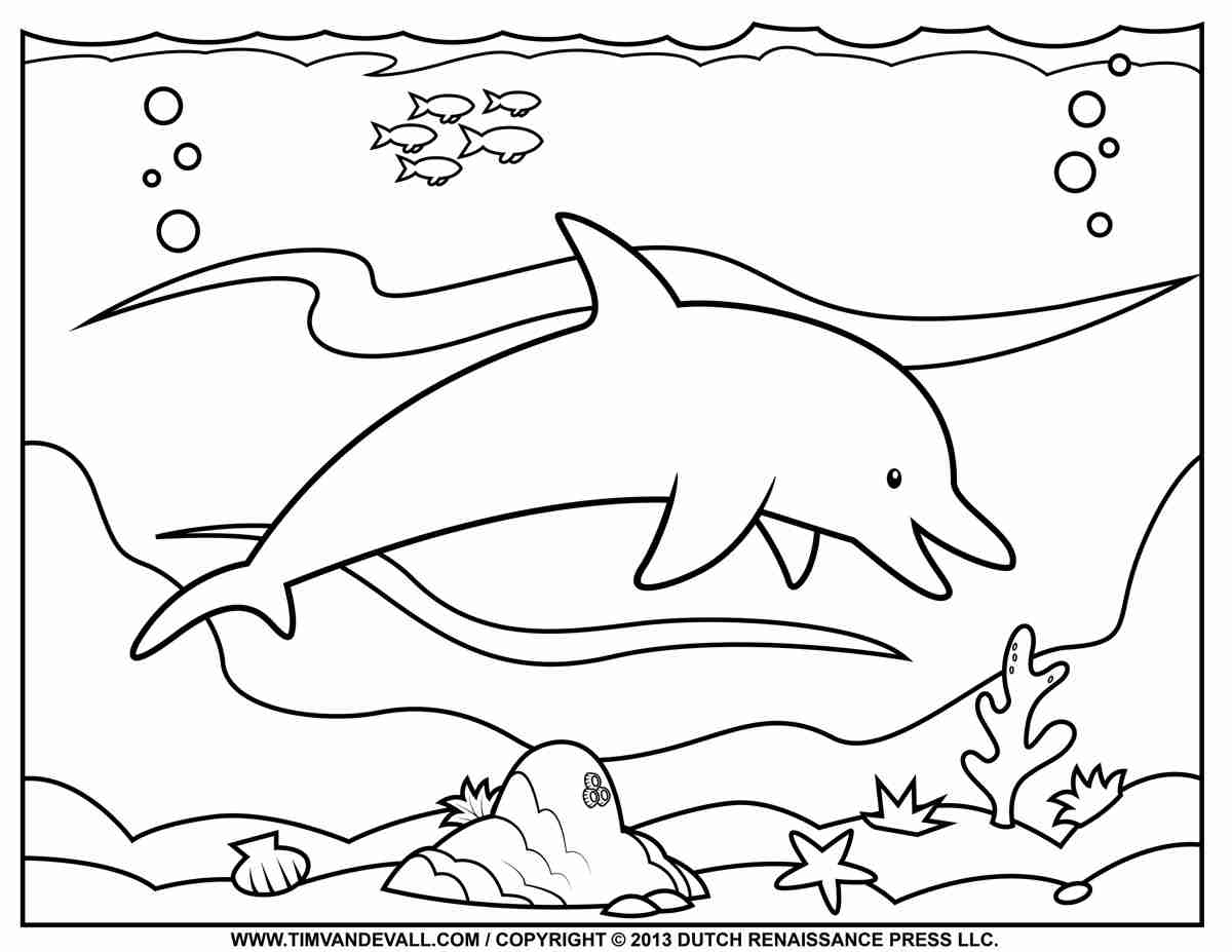 1200x927 Easy Printable Dolphin Pictures It S Here Coloring Pagend