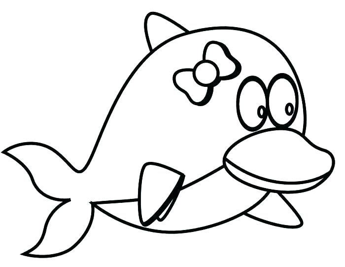 700x541 Dolphin Pictures To Color