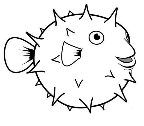 600x525 Puffer Fish Coloring Pages