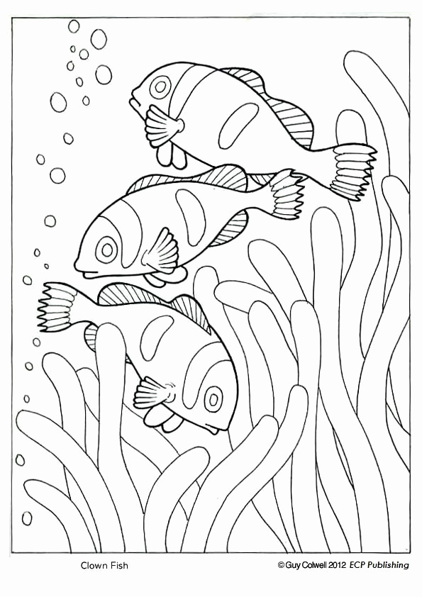 595x842 Simple Fish Coloring Pages Ohmygirl.us