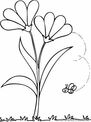 316x425 Easy Flower Coloring Pages