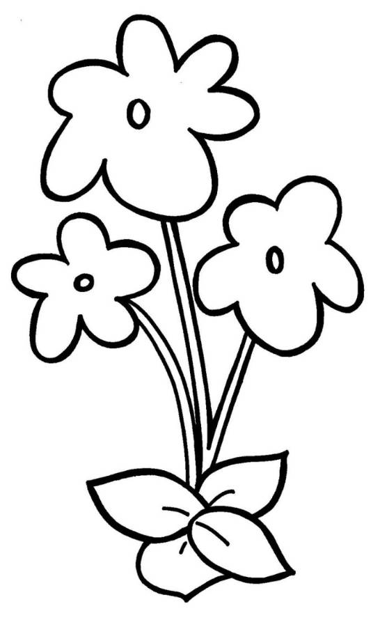 546x900 Easy Violet Flower Coloring Page For Preschool