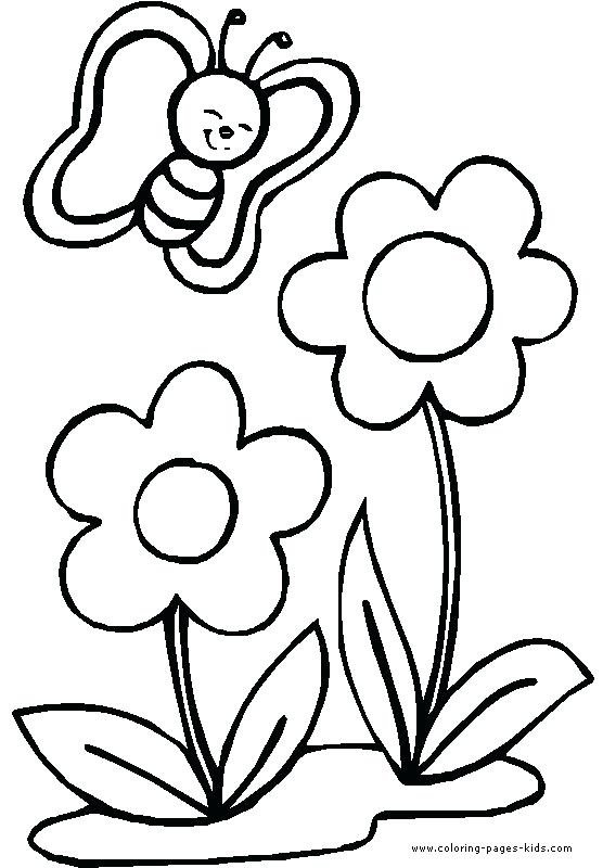 556x800 Flower Pictures To Color Plus Easy Flower Coloring Pages Flower