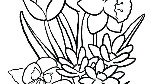 500x280 Coloring Page Of A Flower Easy Flower Coloring Pages Easy Flower