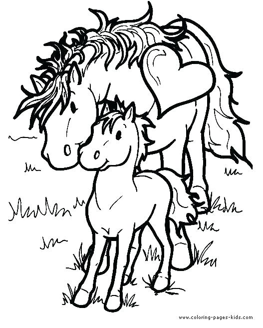 527x656 Horse Color Calculator Pictures Printable Coloring Horse Coloring