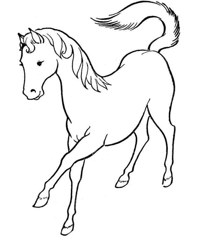 650x796 Horse Template