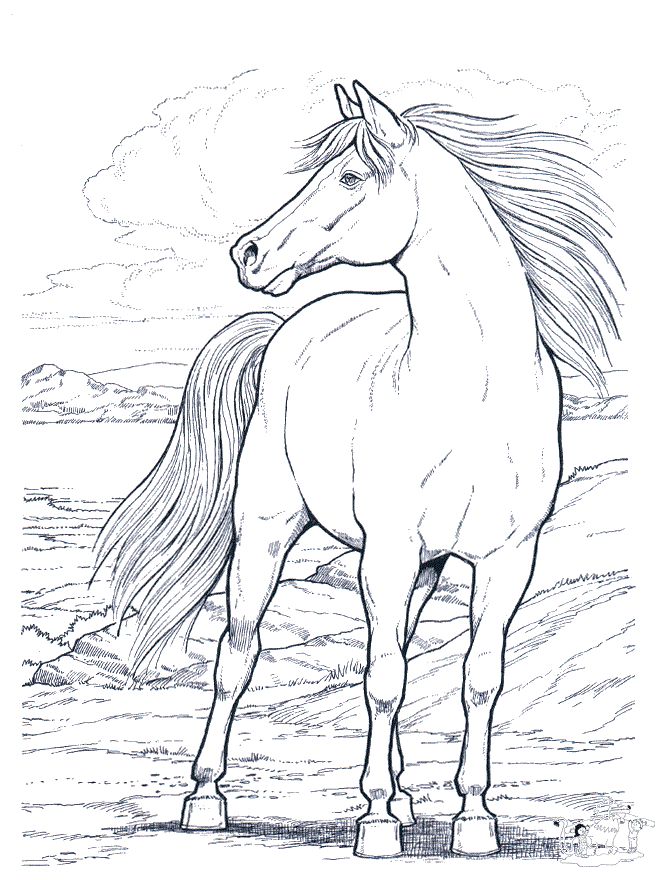 660x880 Sweet Horse Coloring Pages Printable Download