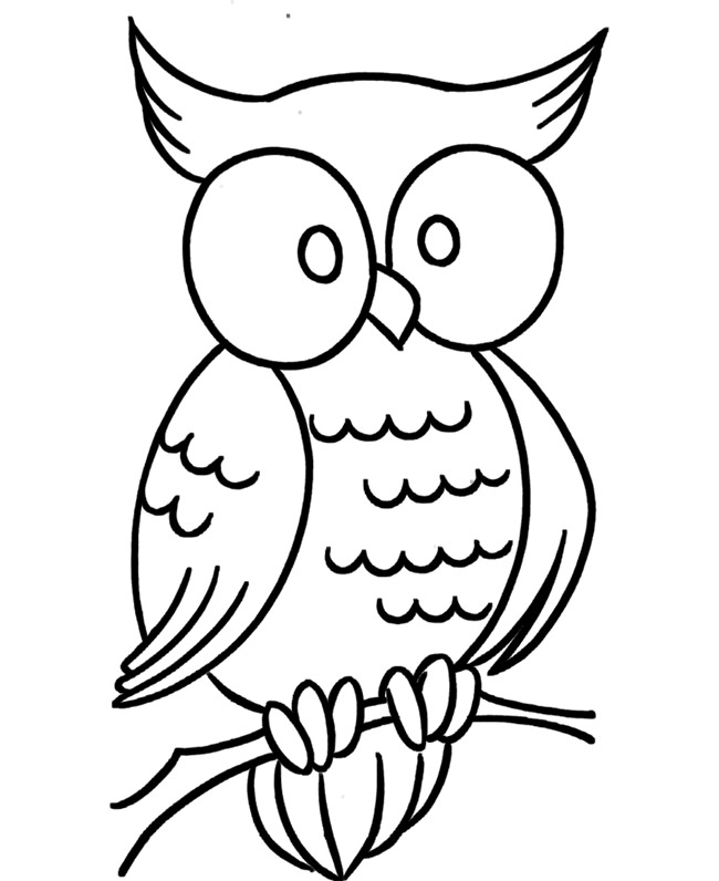 650x796 Owl Template