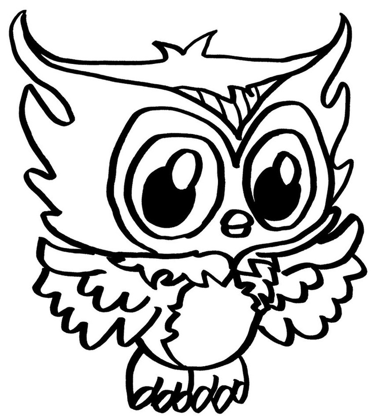 736x820 Things To Print And Color Epic Ba Owl Coloring Pages 58