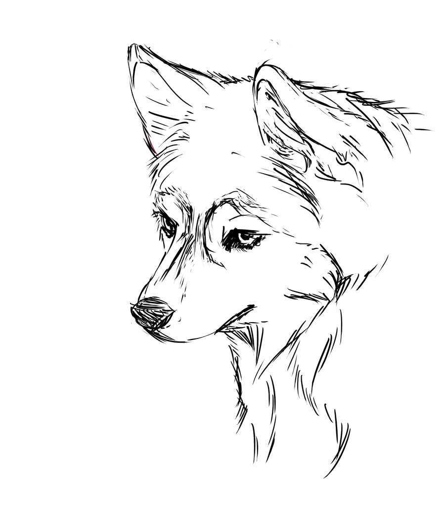 900x1063 Wonderful Design Ideas Cute Puppy Coloring Pages Free Of Husky