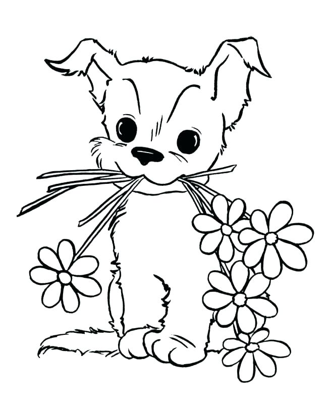 650x796 Coloring Pages Puppy Husky Puppy Coloring Pages Get This Easy
