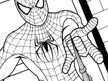 440x330 Spiderman Coloring Page Spider Man Color Pages Amazing Spider Man