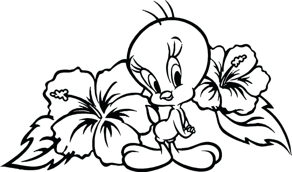 1025x603 Easy Flower Coloring Pages Flower Color Pages Medium Size