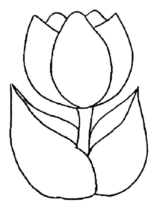 600x811 Easy To Draw Pictures Coloring Page Geekbits Org