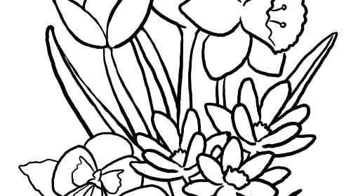 500x280 Easy Flower Coloring Pages Easy Coloring Pages In Addition To Easy