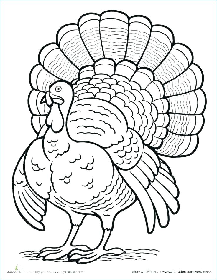 736x952 Coloring Pages Of A Turkey Turkey Coloring Page Free Large Images