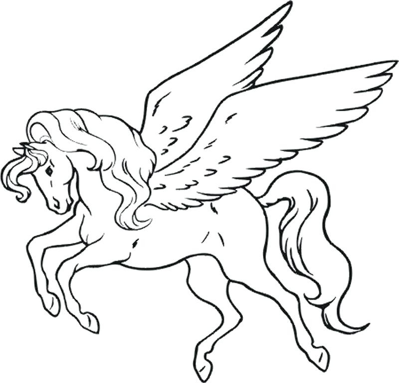 800x768 Easy Unicorn Coloring Plus Pictures 672 Pages 31788