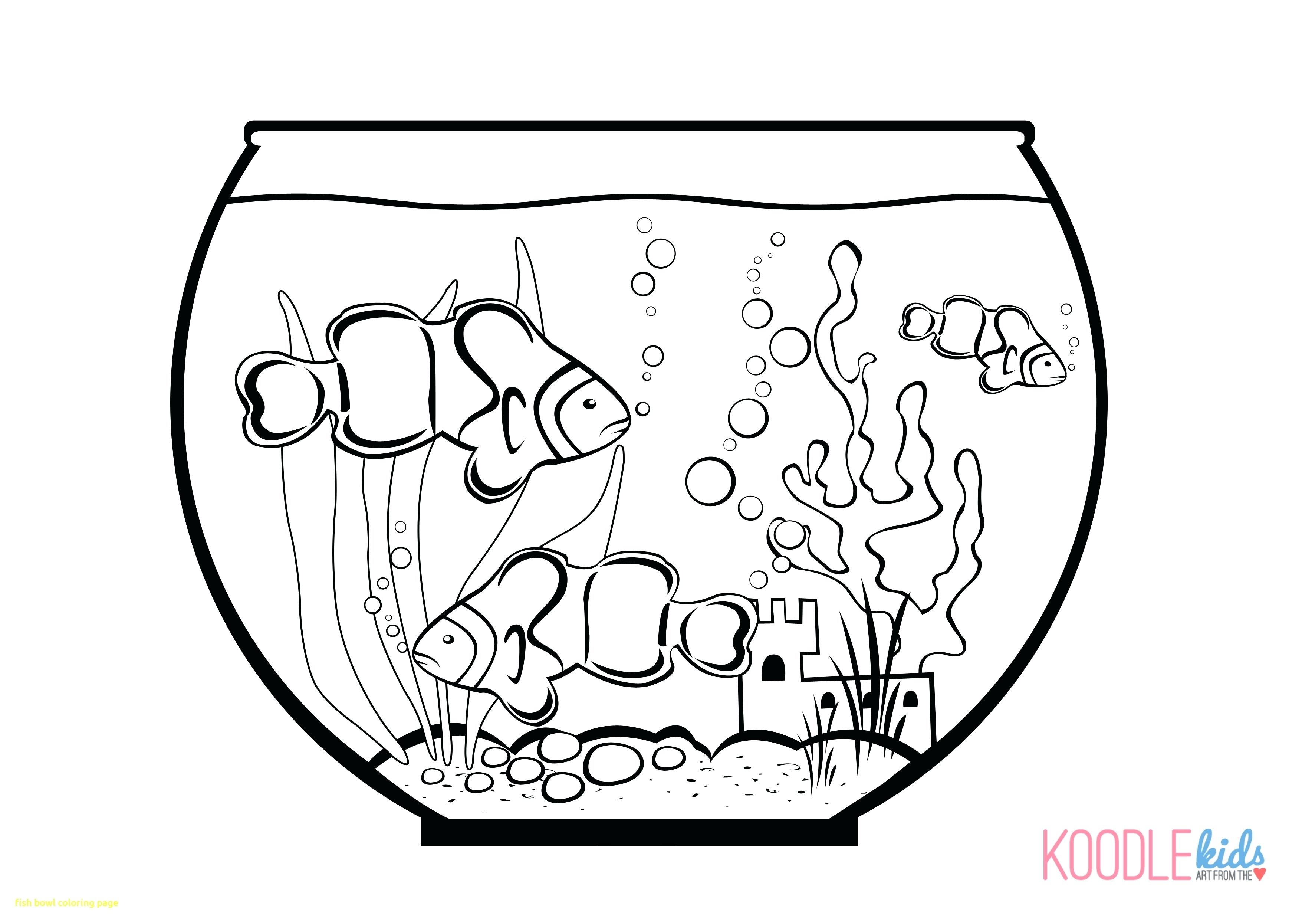 3510x2490 Luxury Empty Fish Tank Coloring Page Bowl With Awesome Sheet Pages