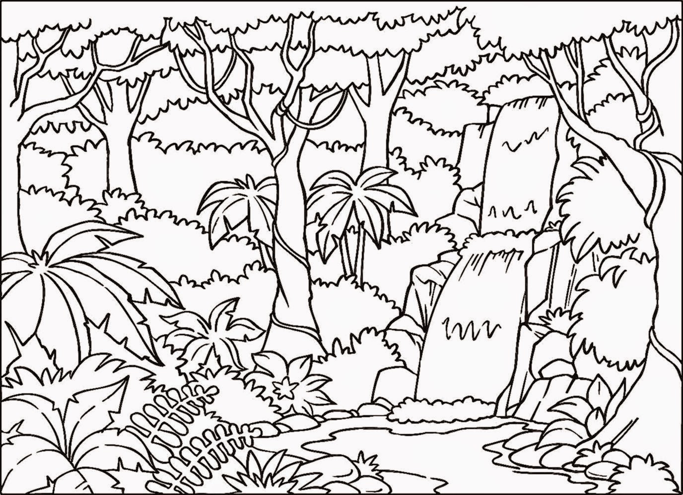 1376x998 Rainforest Coloring Pages With Page Of 1 At 7