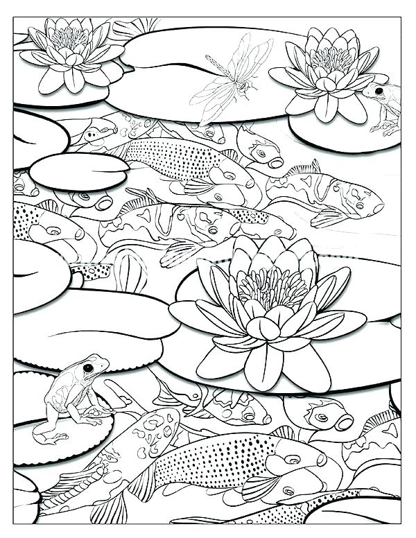 600x776 Ecosystem Coloring Pages Pond Coloring Pages Pond Coloring Page