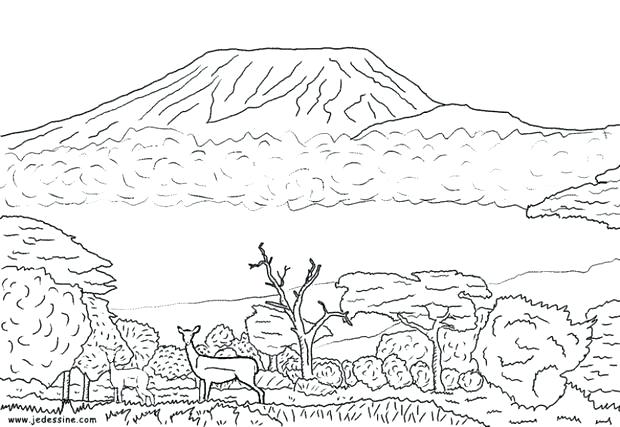 620x427 Ecosystem Coloring Pages