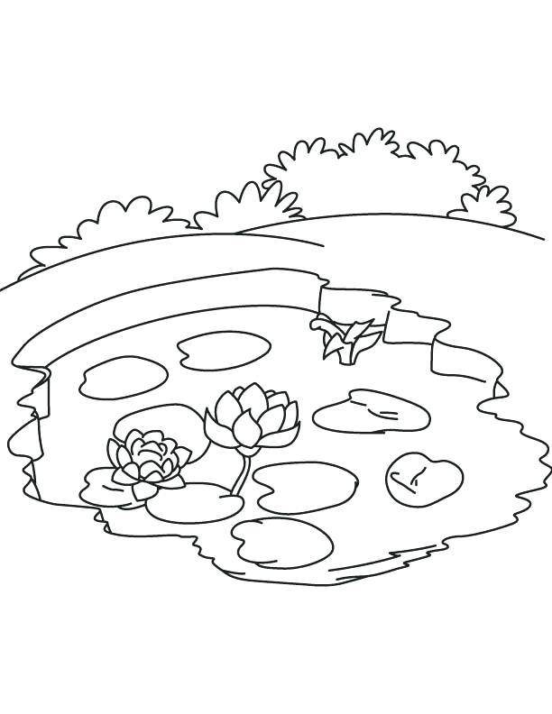 612x792 Best Of Ecosystem Coloring Pages Images Water Lily In Pond
