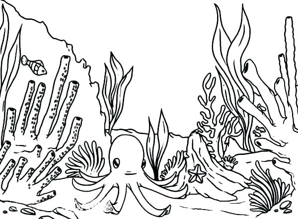 600x441 Ocean Habitat Coloring Pages Ecosystem Coloring Pages Grassland