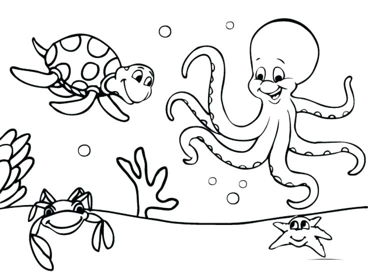 736x552 Ocean Scene Coloring Page Ocean Scene Coloring Page Ocean