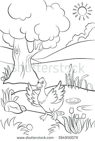 318x470 Pond Coloring Pages Pond Animals Coloring Pages Pond Coloring Page