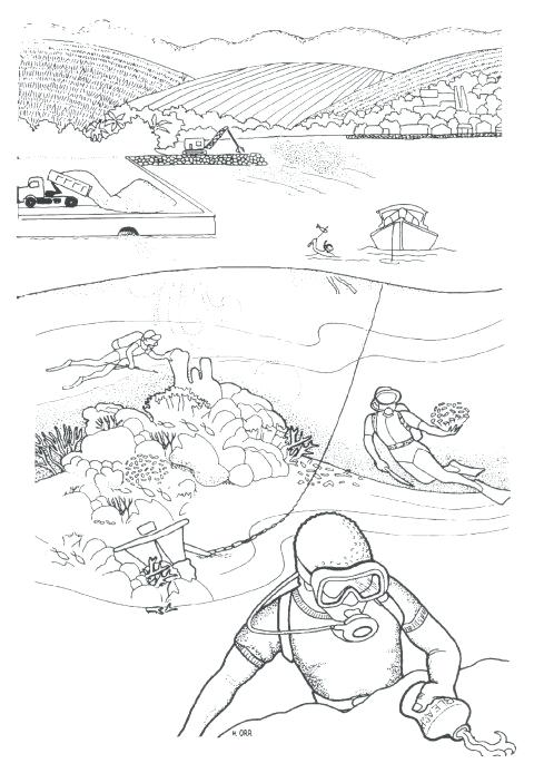 480x694 Water Pollution Coloring Printable Ecosystem Coloring Pages